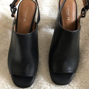 Brady Semi Matte Calf / Coach heels